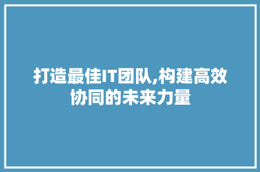 打造最佳IT团队,构建高效协同的未来力量