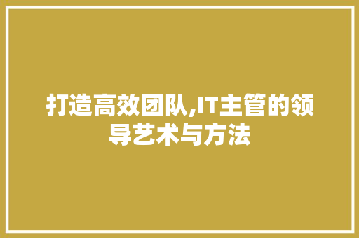 打造高效团队,IT主管的领导艺术与方法