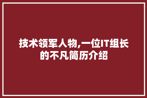 技术领军人物,一位IT组长的不凡简历介绍