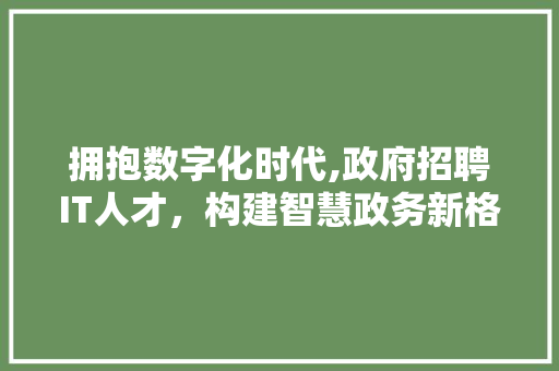 拥抱数字化时代,政府招聘IT人才，构建智慧政务新格局