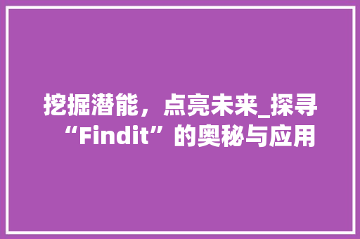 挖掘潜能，点亮未来_探寻“Findit”的奥秘与应用