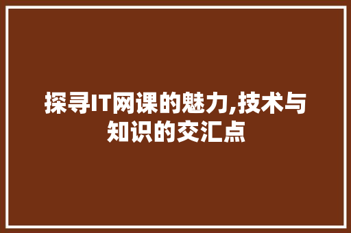 探寻IT网课的魅力,技术与知识的交汇点