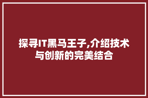 探寻IT黑马王子,介绍技术与创新的完美结合