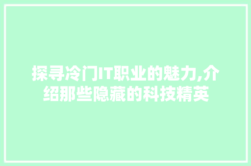 探寻冷门IT职业的魅力,介绍那些隐藏的科技精英