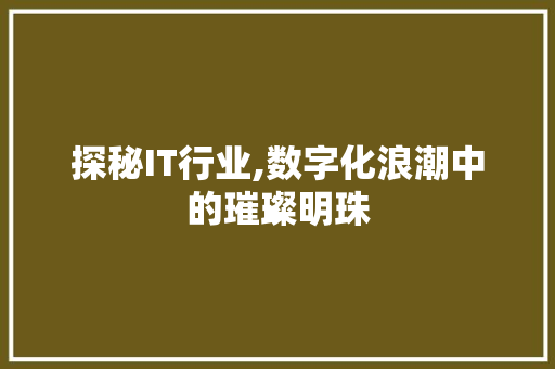 探秘IT行业,数字化浪潮中的璀璨明珠