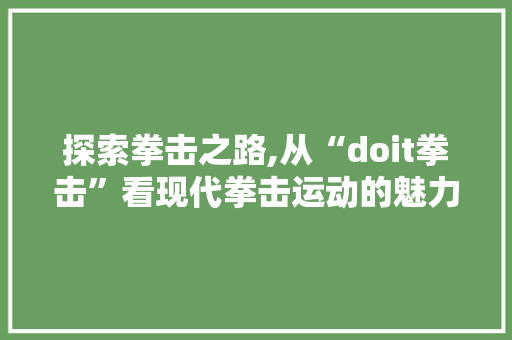 探索拳击之路,从“doit拳击”看现代拳击运动的魅力与价值