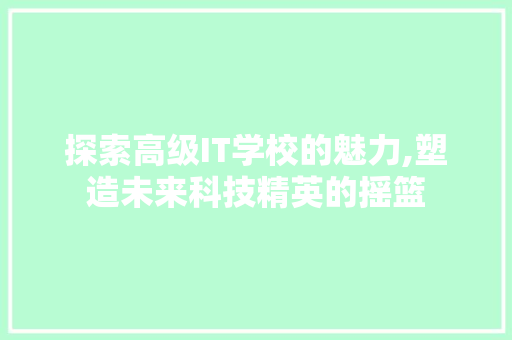 探索高级IT学校的魅力,塑造未来科技精英的摇篮