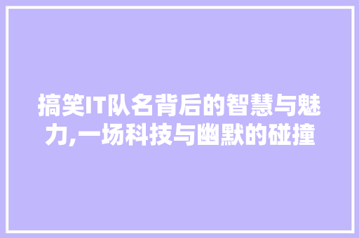 搞笑IT队名背后的智慧与魅力,一场科技与幽默的碰撞