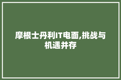 摩根士丹利IT电面,挑战与机遇并存