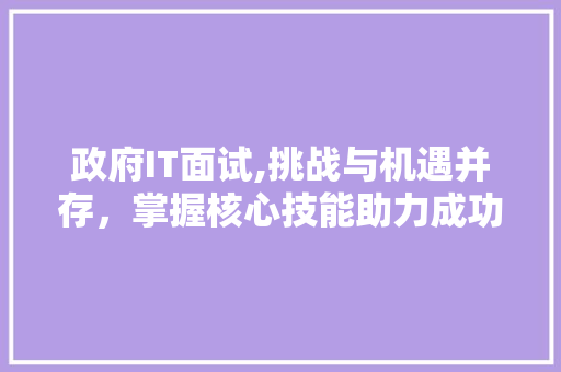 政府IT面试,挑战与机遇并存，掌握核心技能助力成功