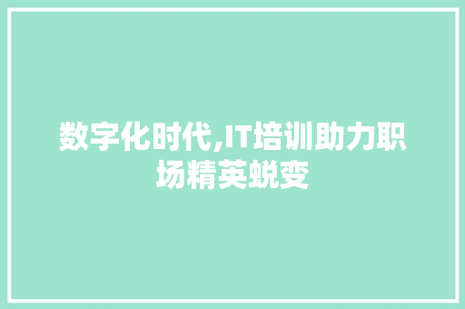 数字化时代,IT培训助力职场精英蜕变