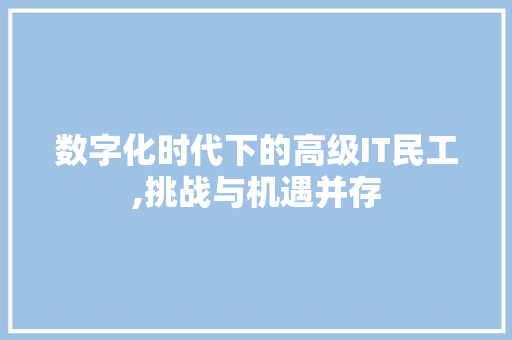 数字化时代下的高级IT民工,挑战与机遇并存