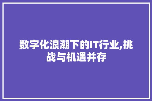 数字化浪潮下的IT行业,挑战与机遇并存