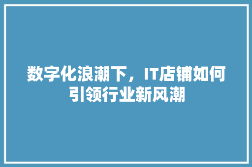 数字化浪潮下，IT店铺如何引领行业新风潮