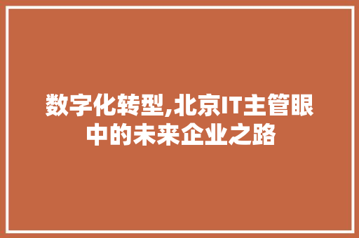 数字化转型,北京IT主管眼中的未来企业之路