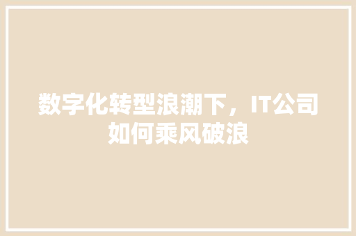 数字化转型浪潮下，IT公司如何乘风破浪