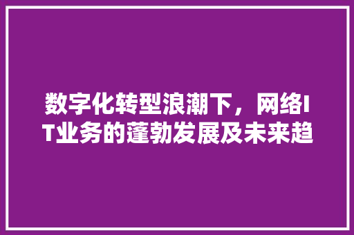 数字化转型浪潮下，网络IT业务的蓬勃发展及未来趋势