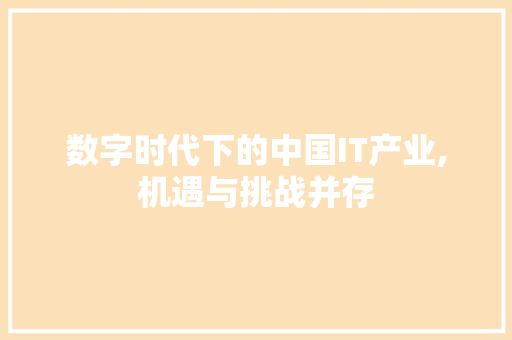 数字时代下的中国IT产业,机遇与挑战并存