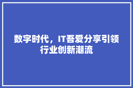 数字时代，IT吾爱分享引领行业创新潮流