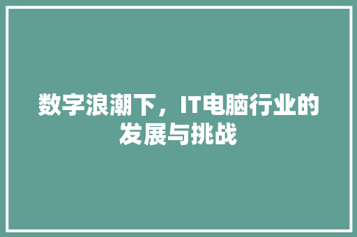 数字浪潮下，IT电脑行业的发展与挑战