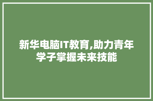 新华电脑IT教育,助力青年学子掌握未来技能