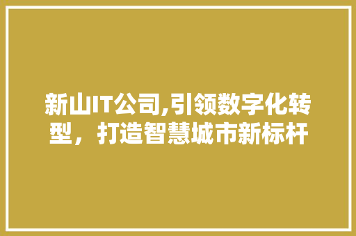 新山IT公司,引领数字化转型，打造智慧城市新标杆