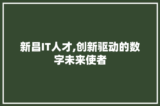 新昌IT人才,创新驱动的数字未来使者