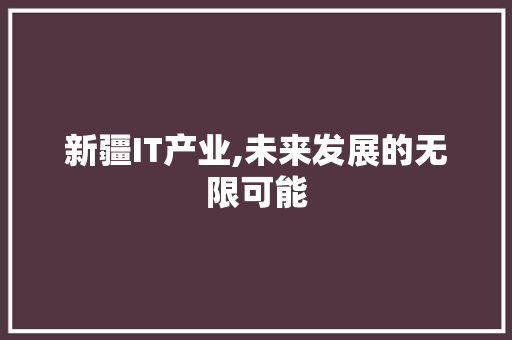 新疆IT产业,未来发展的无限可能