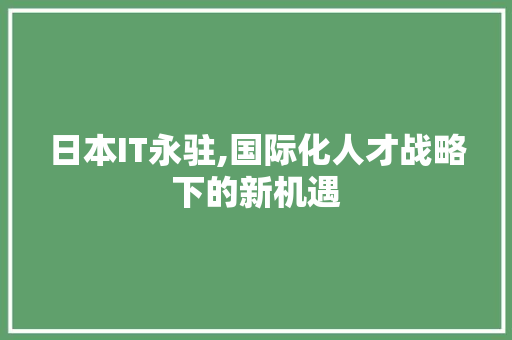 日本IT永驻,国际化人才战略下的新机遇