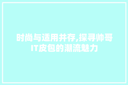 时尚与适用并存,探寻帅哥IT皮包的潮流魅力