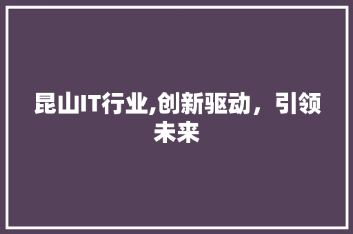 昆山IT行业,创新驱动，引领未来