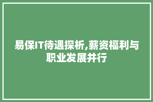 易保IT待遇探析,薪资福利与职业发展并行