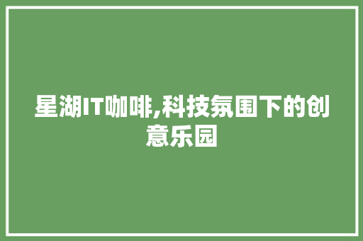 星湖IT咖啡,科技氛围下的创意乐园