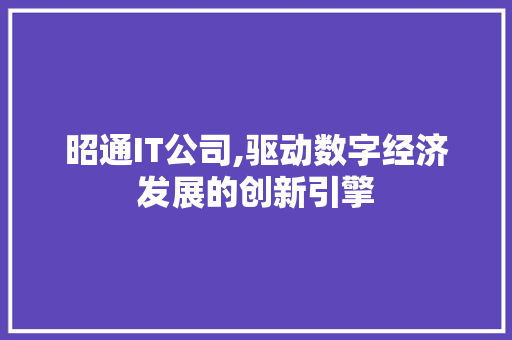 昭通IT公司,驱动数字经济发展的创新引擎