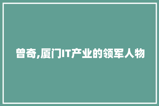 曾奇,厦门IT产业的领军人物