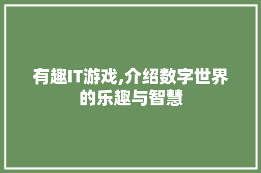 有趣IT游戏,介绍数字世界的乐趣与智慧