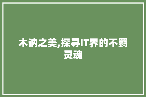 木讷之美,探寻IT界的不羁灵魂