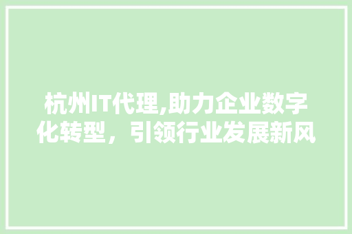 杭州IT代理,助力企业数字化转型，引领行业发展新风向