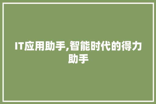 IT应用助手,智能时代的得力助手