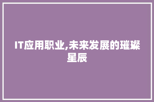 IT应用职业,未来发展的璀璨星辰