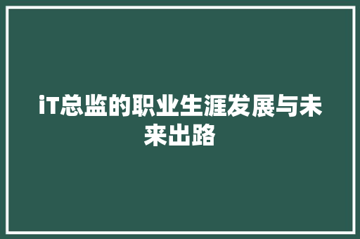 iT总监的职业生涯发展与未来出路