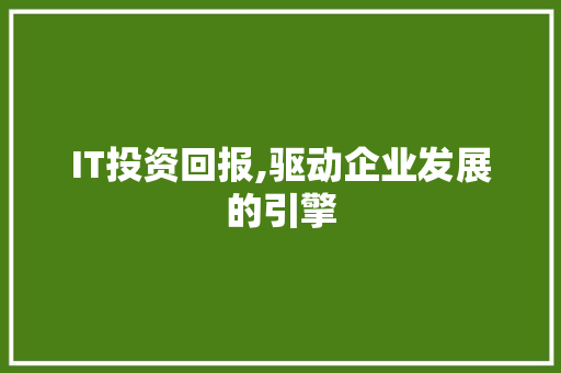 IT投资回报,驱动企业发展的引擎