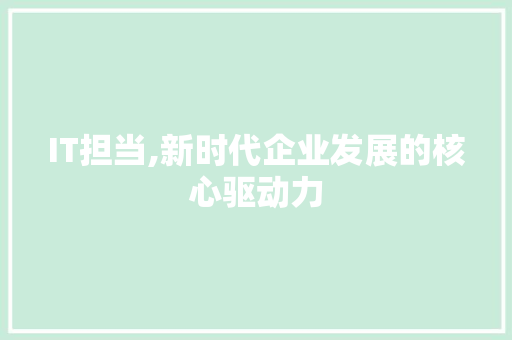 IT担当,新时代企业发展的核心驱动力