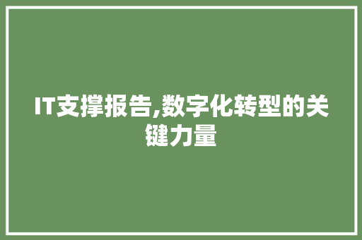 IT支撑报告,数字化转型的关键力量 Docker