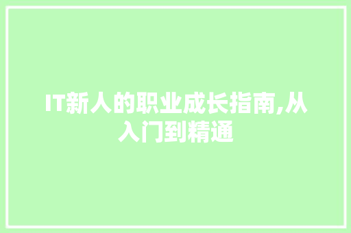 IT新人的职业成长指南,从入门到精通