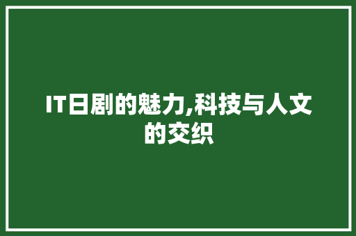 IT日剧的魅力,科技与人文的交织 React