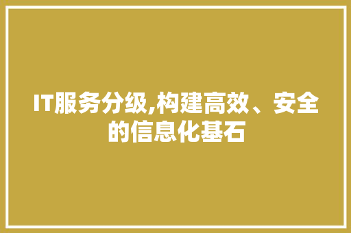 IT服务分级,构建高效、安全的信息化基石