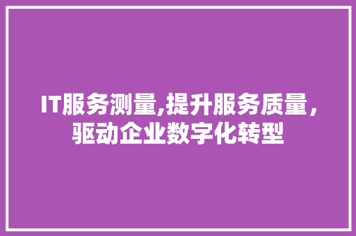 IT服务测量,提升服务质量，驱动企业数字化转型 PHP