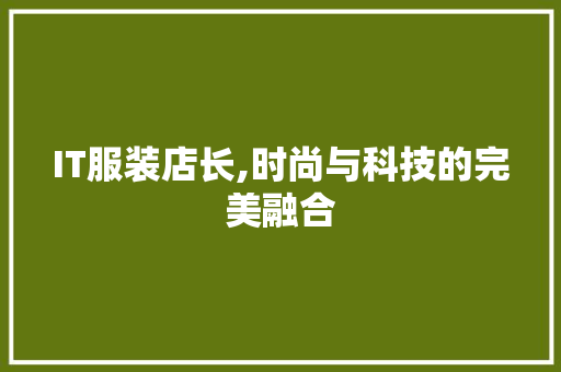 IT服装店长,时尚与科技的完美融合