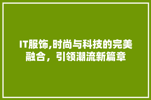 IT服饰,时尚与科技的完美融合，引领潮流新篇章